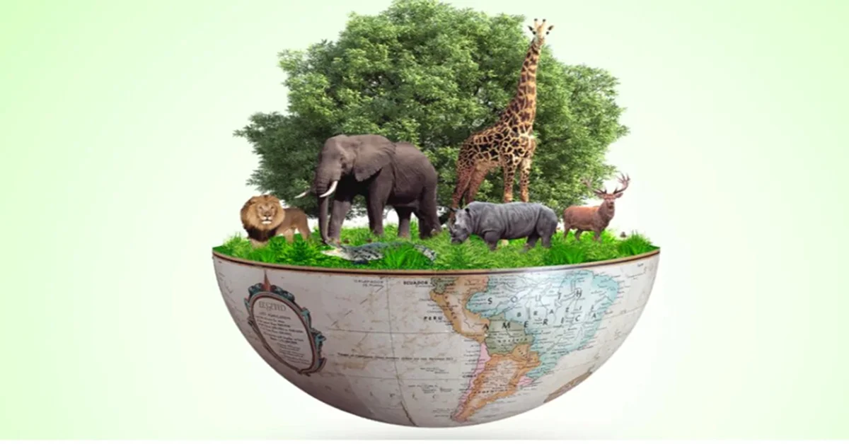 The Vital Web of Life: Understanding Biodiversity and Ecosystems