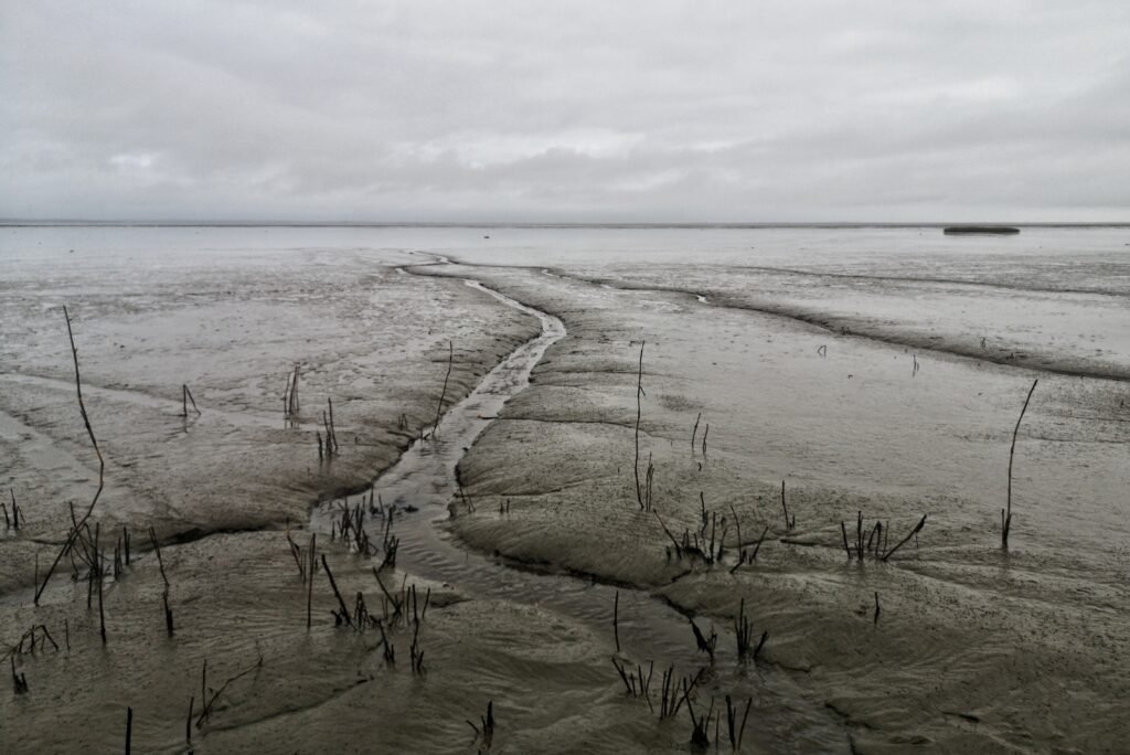 Sea Level Rise and Coastal Erosion